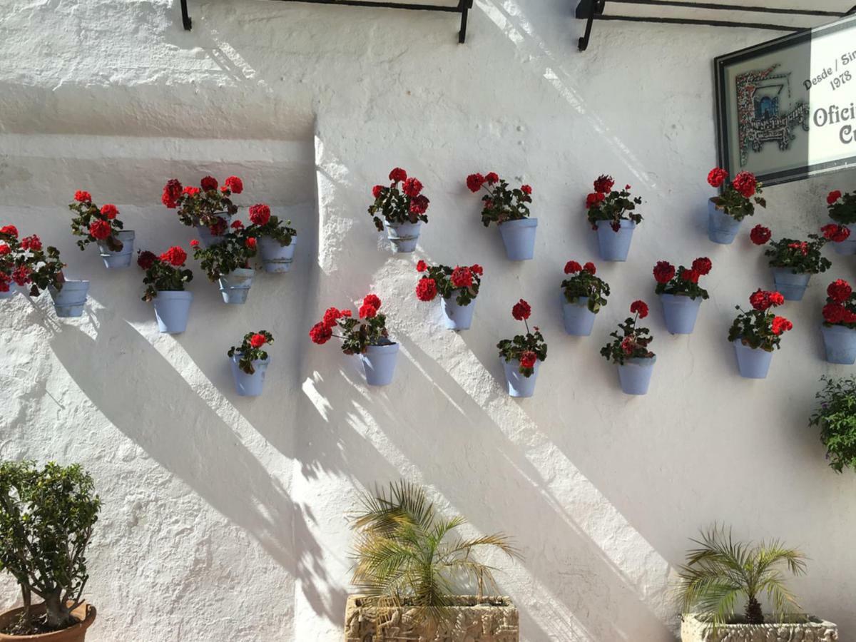 Apartamentos Riscos Torremolinos Exterior photo